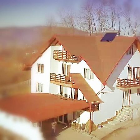 La Curtea Argeseana Apartment Valea Iasului Екстериор снимка