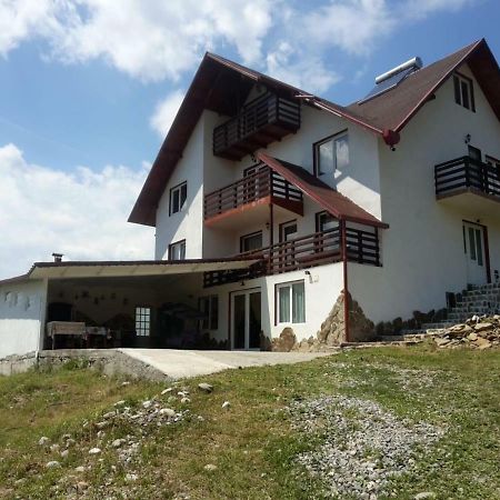 La Curtea Argeseana Apartment Valea Iasului Екстериор снимка