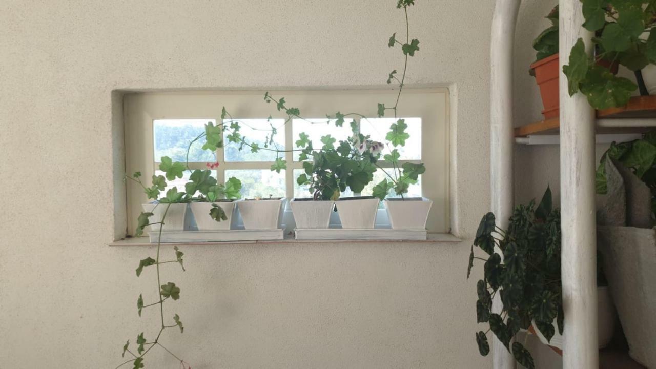 La Curtea Argeseana Apartment Valea Iasului Екстериор снимка
