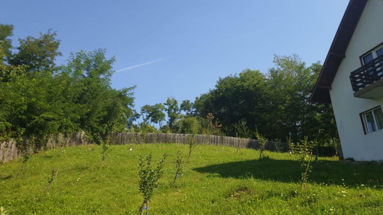 La Curtea Argeseana Apartment Valea Iasului Екстериор снимка
